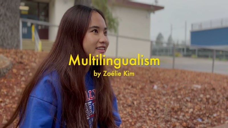 Title card from the short film Multilingualism, over a shot of one of the interviewees